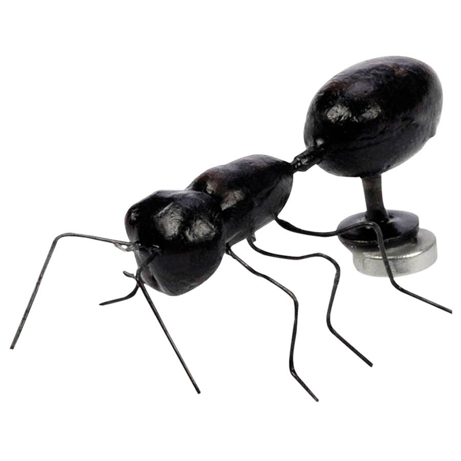 Magnet mravenec