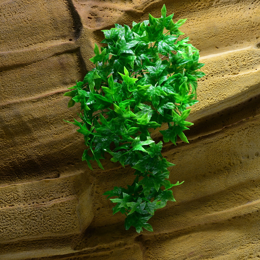 Rostlina Congo Ivy malá plast Zoo Med