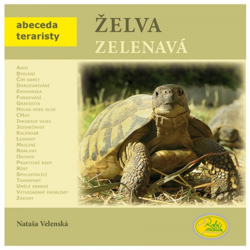 Želva zelenavá - Robimaus