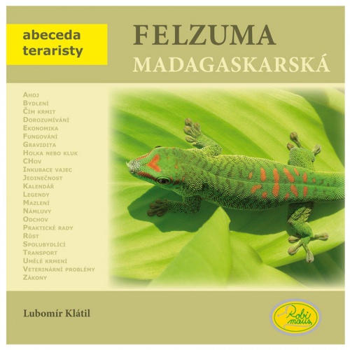 Felsuma madagaskarská - Robimaus