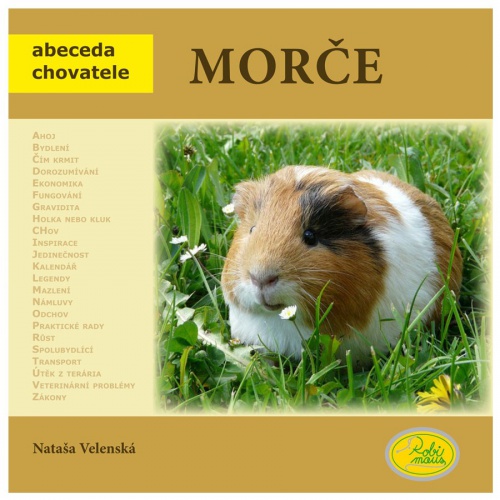 Morče - Robimaus