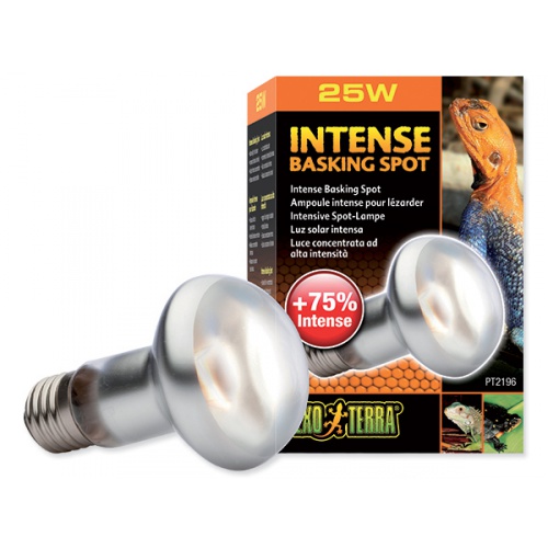 Žárovka Intense 25W Basking Spot  Exo Terra Hagen