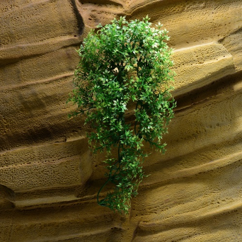 Rostlina Australian maple střední plast Zoo Med