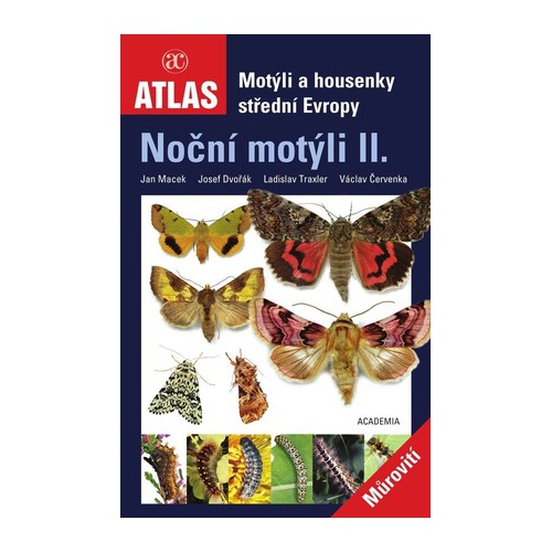 Noční motýli II - Academia