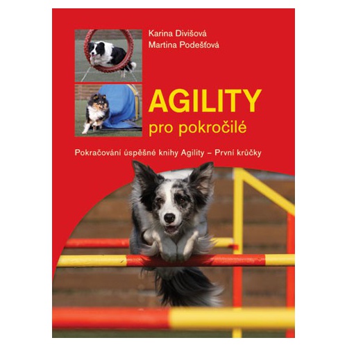 Agility pro pokročilé