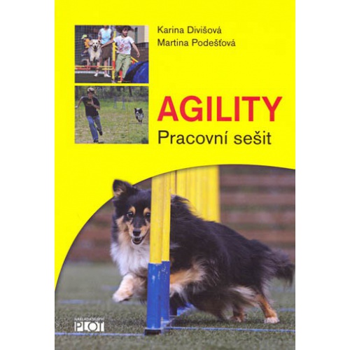 Agility - pracovní sešit