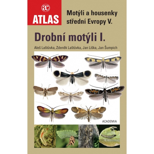 Drobní motýli I.