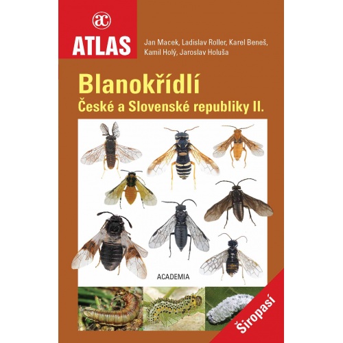 Blanokřídli české republiky II