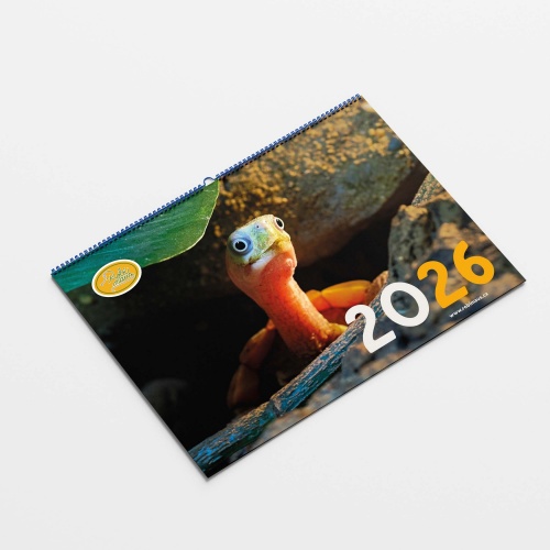 Nástěnný kalendář 2026 Robimaus