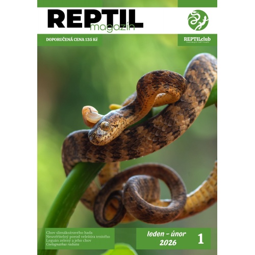 Reptil magazin 1/26