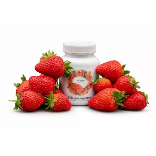 Kaše pro pagekony - jahoda/červený banán 100g