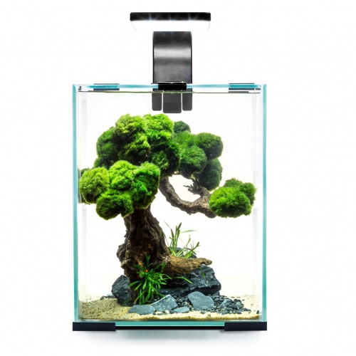 Akvárium SHRIMP SET D&N 10 černé Aquael