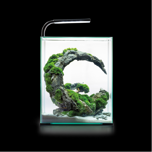 Akvarium SHRIMP SET D&N 30 černé Aquael