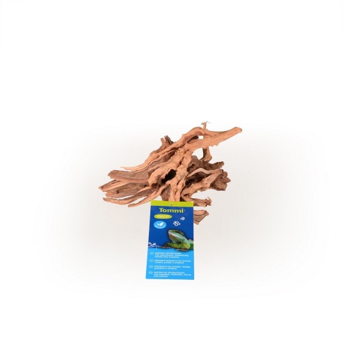 Azalea Root XS 10-20cm -Tommi