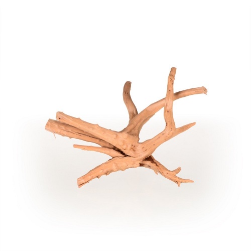 Azalea Root S 20-30cm - Tommi