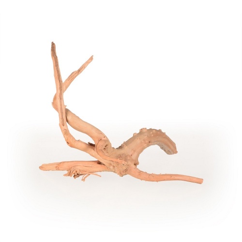 Azalea Root M 30-40cm - Tommi