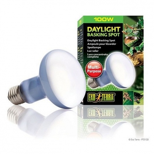 Žárovka Daylight 100W Basking Spot Exo Terra Hagen