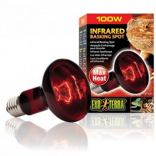 Žárovka Infrared 100W Basking Spot Exo Terra Hagen