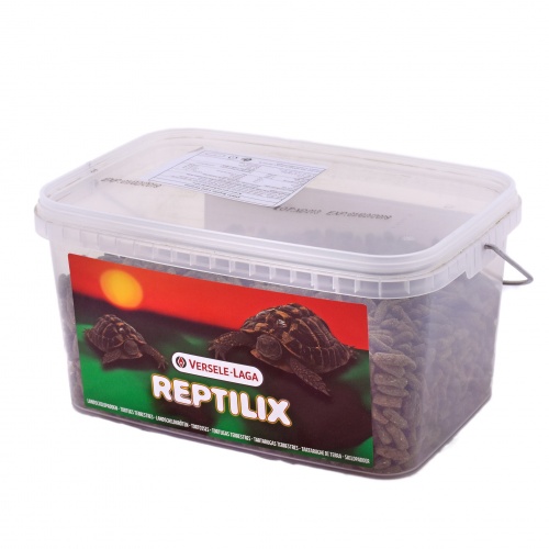 Reptilix Tortoises 1kg