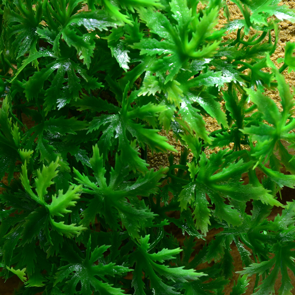 Rostlina Cannabis střední plast Zoo Med