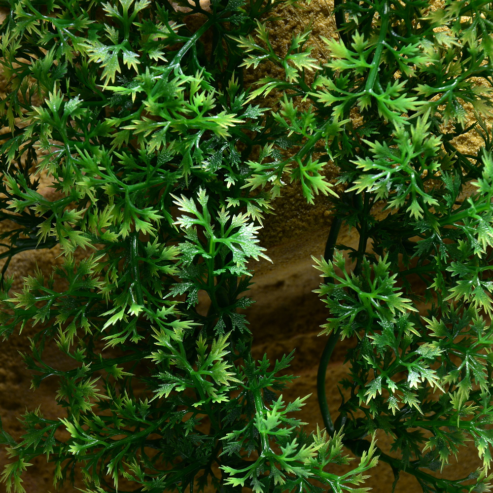 Rostlina Australian Maple malá plast Zoo Med