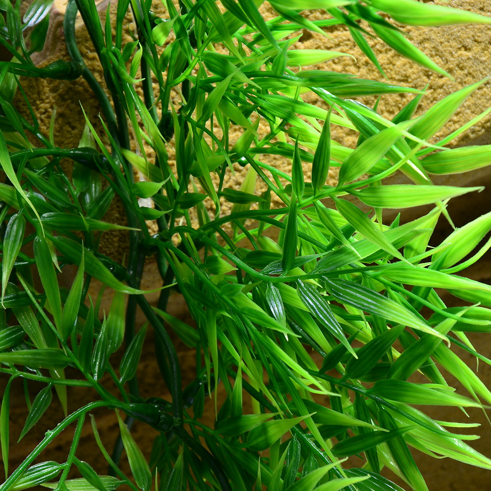 Rostlina Madagascar Bamboo malá plast Zoo Med