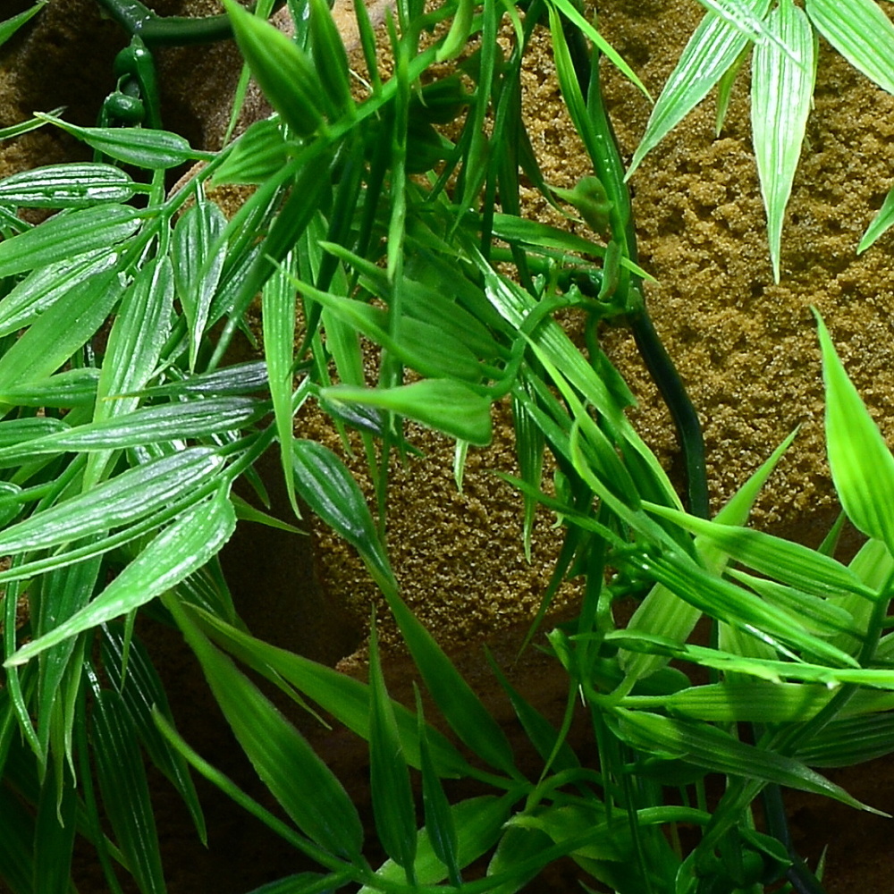 Rostlina Madagascar Bamboo střední plast