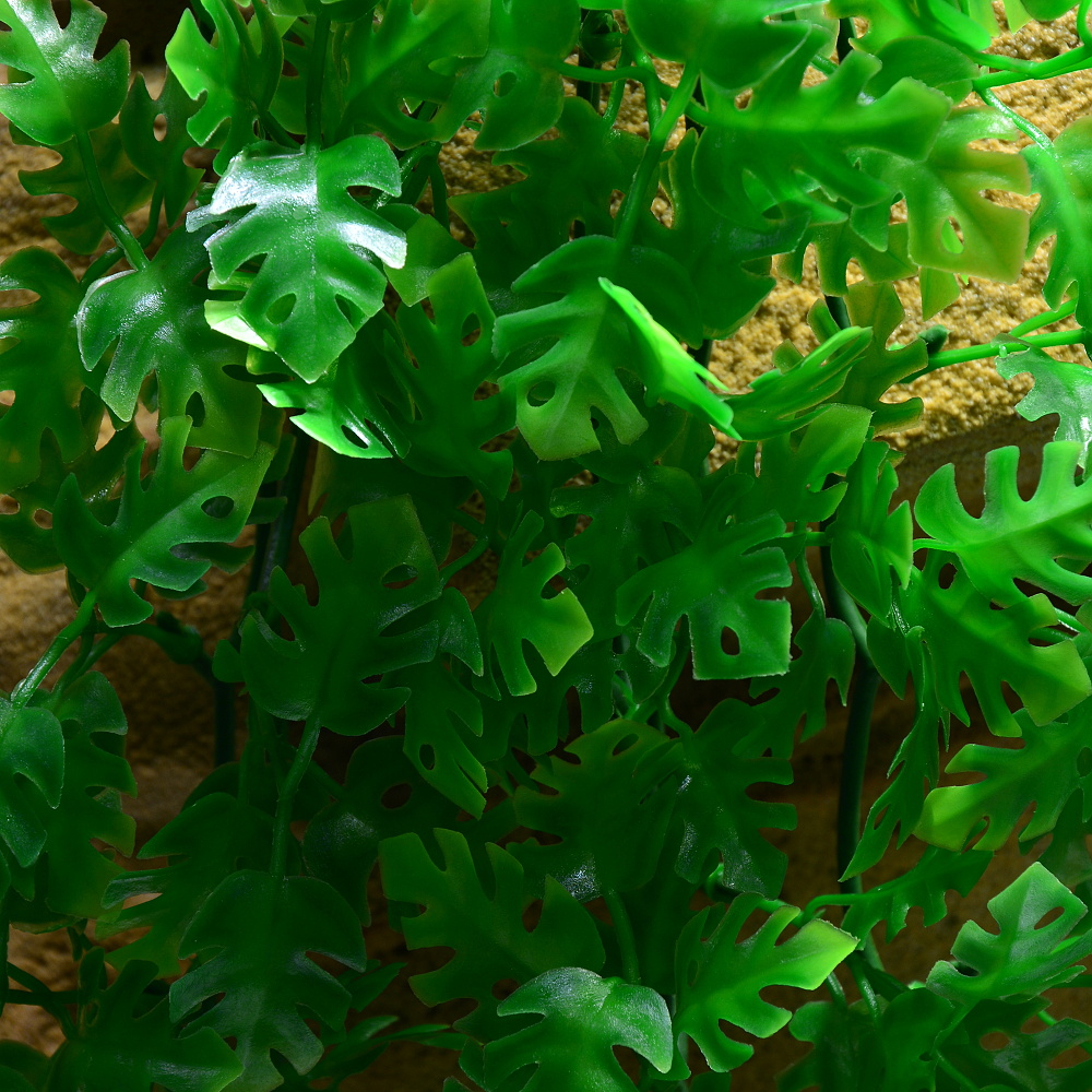 Rostlina Amazonian Phyllo velká plast