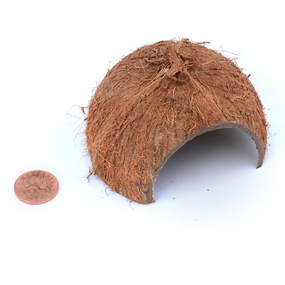 Kokosová skořápka s otvorem - Robimaus