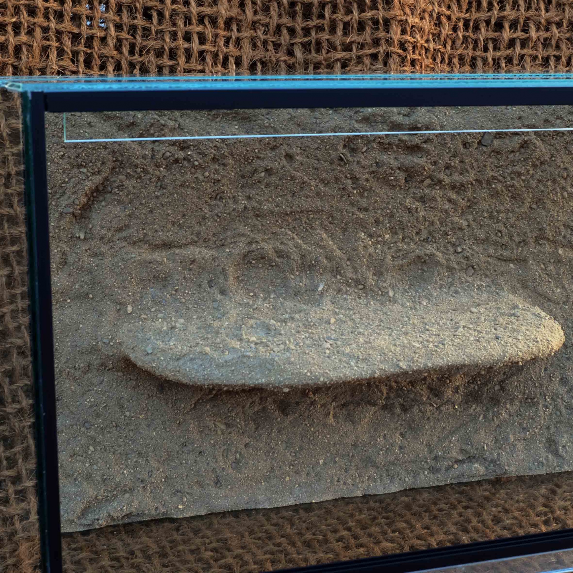 Terárium agama malé 80x40x40cm s pozadím Robimaus