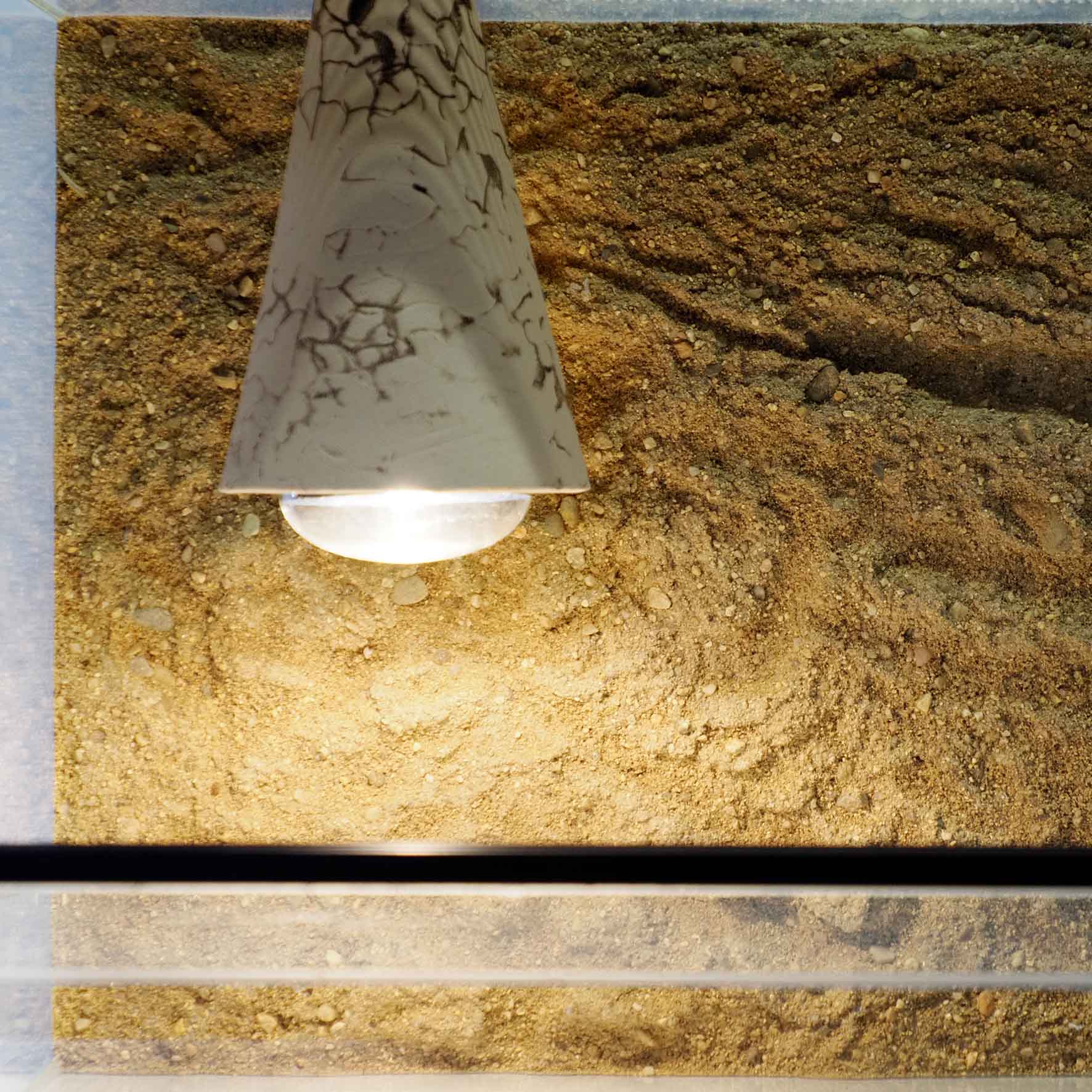 Terárium pralesnička 40x30x30cm s osvětlením Robimaus